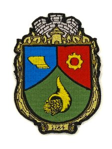 Патч Герб Токмака