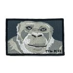 Патч Шимпанзе Pan troglodytes