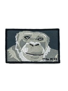 Патч Шимпанзе Pan troglodytes