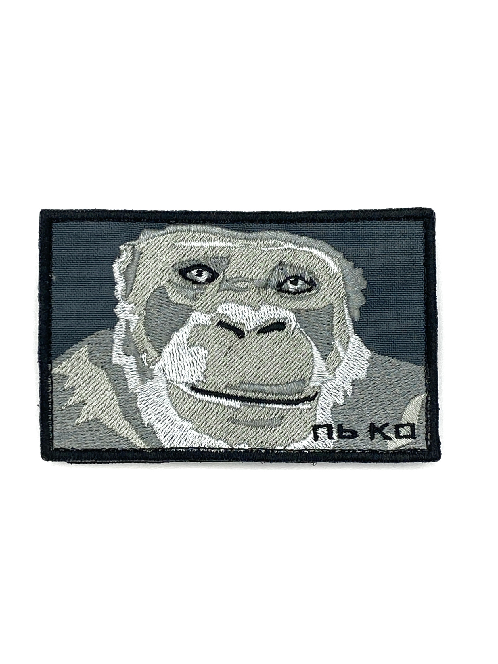 Патч Шимпанзе Pan troglodytes